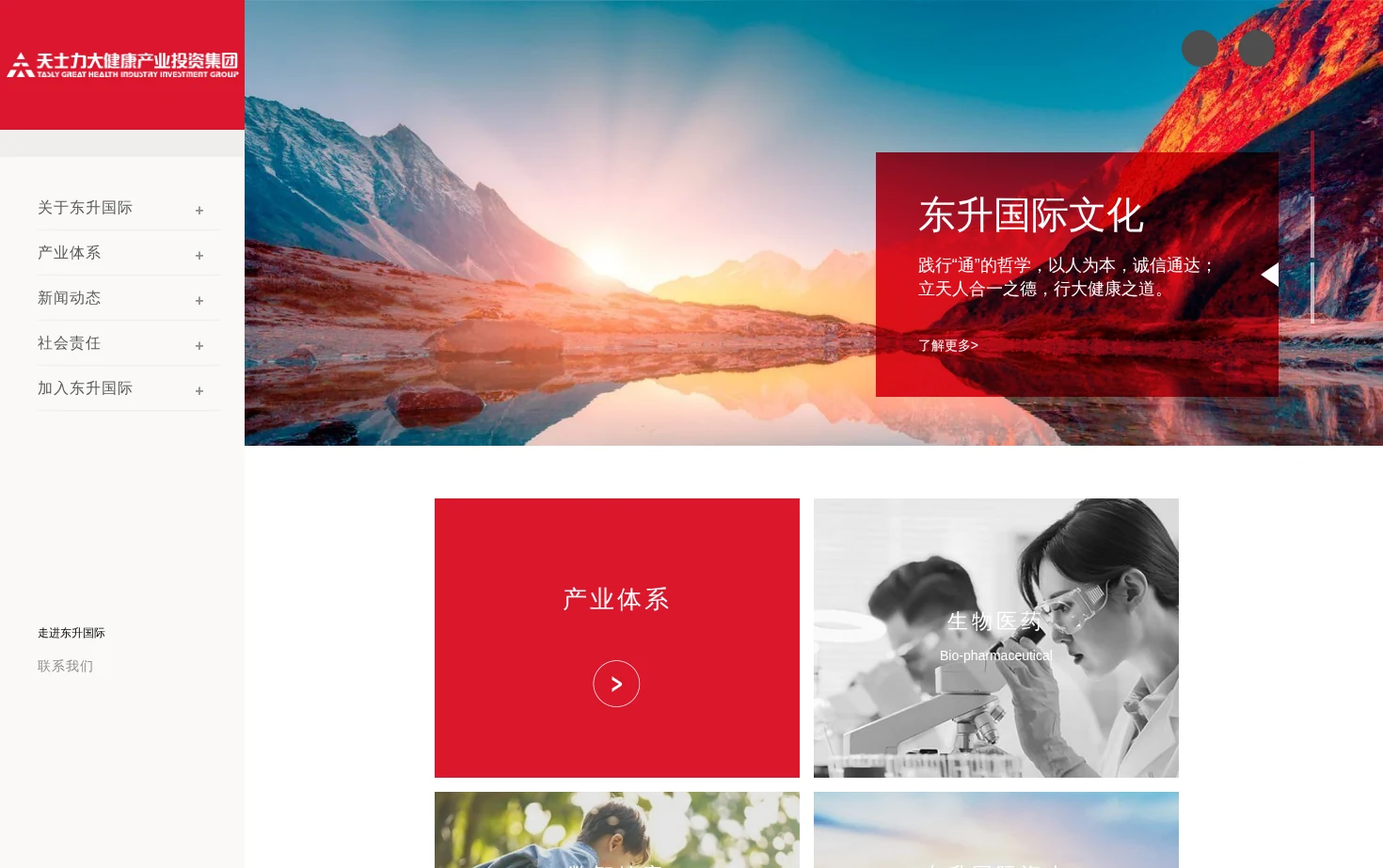 东升国际 页面快照